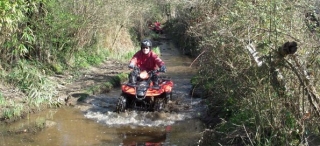 Relajación y emoción